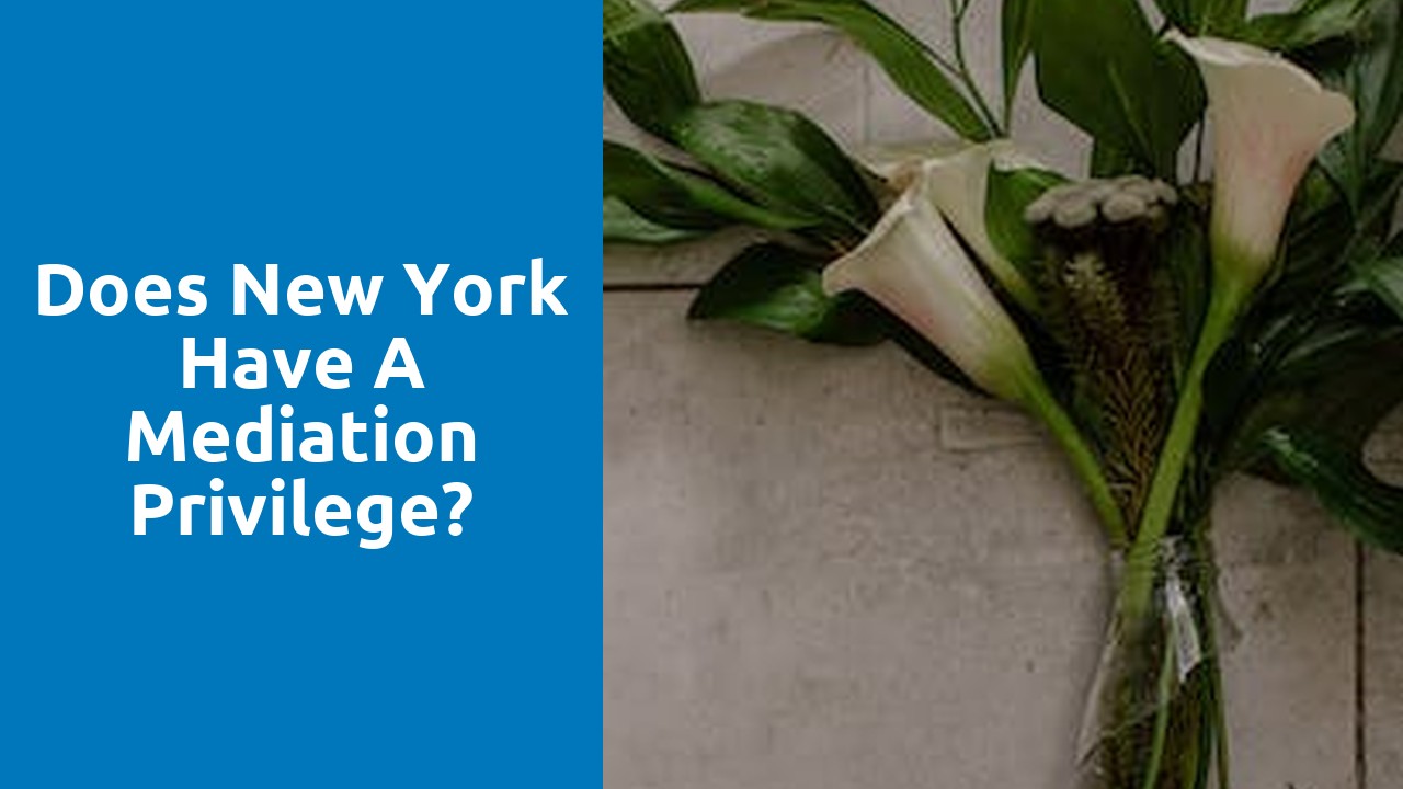 Does New York have a mediation privilege?
