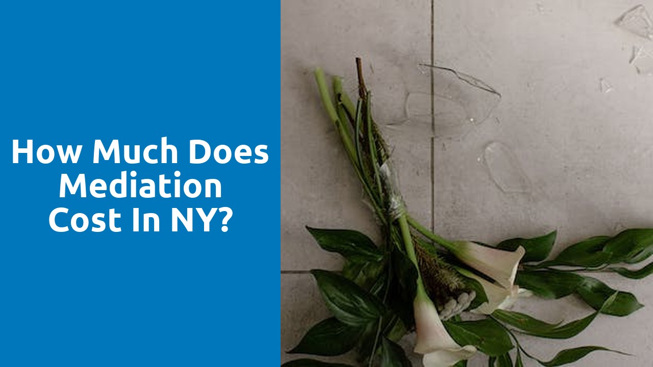 How much does mediation cost in NY?
